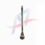 PAILLE A MATE ARGENTE
