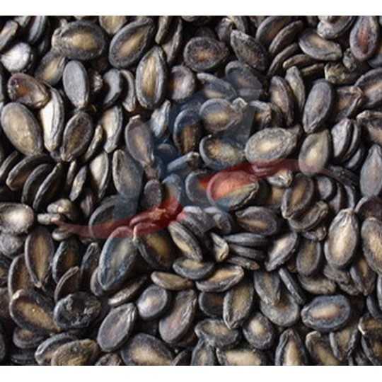 Graines de pastèque salées 300g